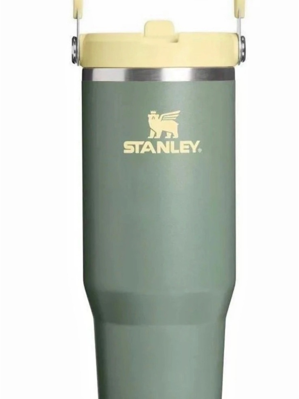 Stanley 30oz Ice Flow Flip Straw Tumbler Green & Yellow Cactus Western